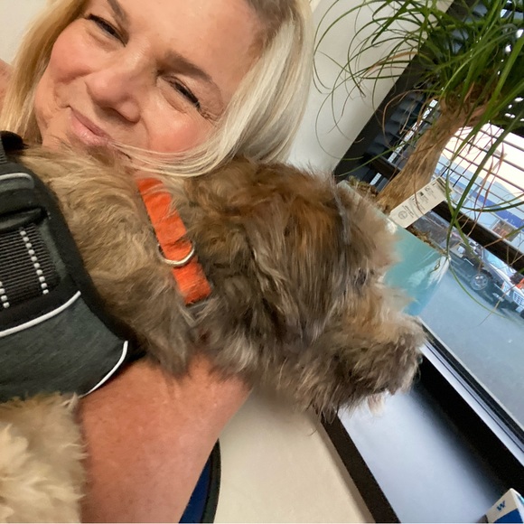 CrAzy Dog Lady! 🐶💖🐾 - Picture 15 of 16